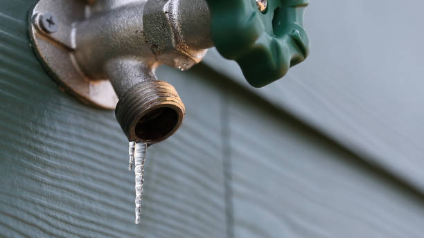 Best 24-Hour Plumber Near Me  in Forreston, IL