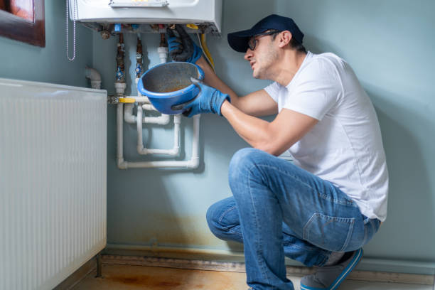 Best Toilet Repair Services  in Forreston, IL