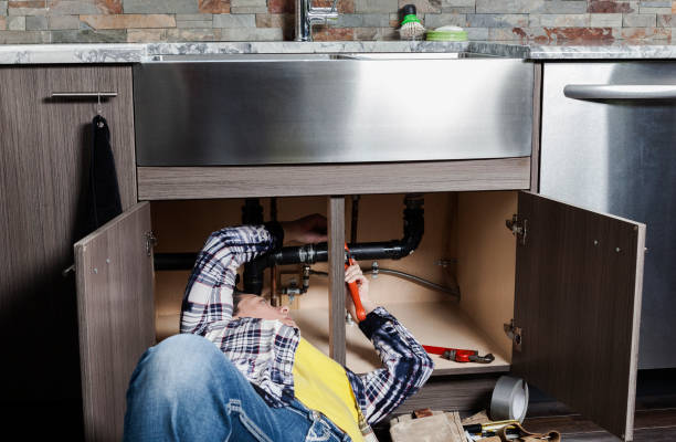 Best Clogged Drain Plumber  in Forreston, IL